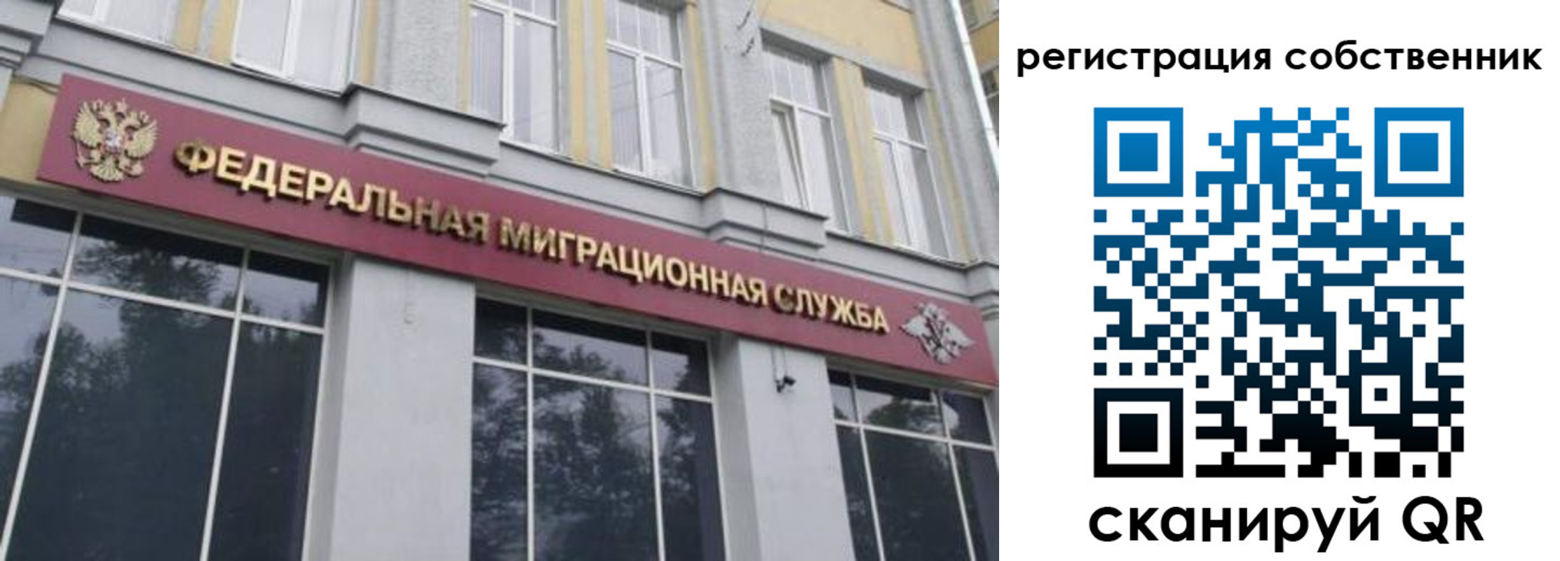 временная регистрация поиск в Котовске